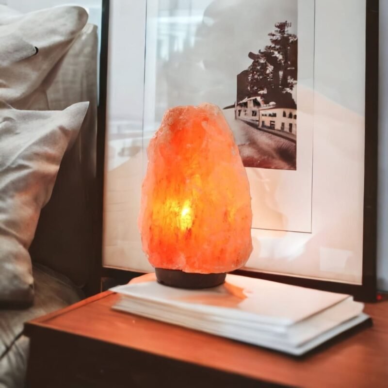 Lampe de Sel de l'Himalaya Brute - Deco Zen - Yogazen