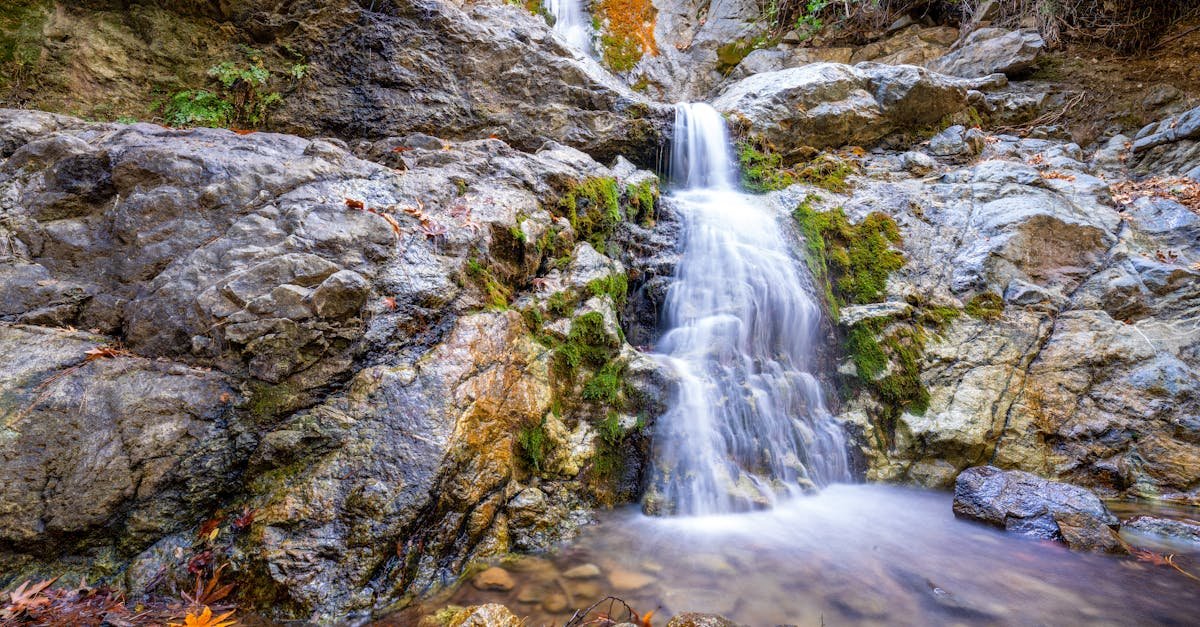 découvrez wild essence, une marque qui célèbre la beauté naturelle à travers des produits inspirés de la nature. plongez dans un univers de senteurs authentiques et d'ingrédients biologiques, élaborés pour nourrir votre peau et votre esprit. expérimentez une approche holistique du bien-être.