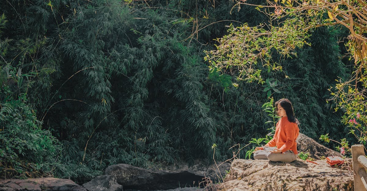 découvrez l'univers apaisant du yoga : améliorez votre bien-être physique et mental à travers des postures, des techniques de respiration et de la méditation pour harmoniser votre corps et votre esprit.