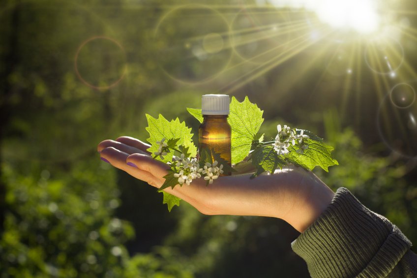 Est-ce que les fleurs de Bach peuvent aider à s’endormir ? - Uncategorized - Yogazen Est-ce que les fleurs de Bach peuvent aider à s’endormir ? - Uncategorized - Yogazen