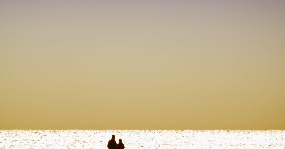 découvrez la clairvoyance amoureuse : des insights intuitifs pour mieux comprendre vos relations et prendre des décisions éclairées. plongez dans un voyage de découverte de soi et d'amour.
