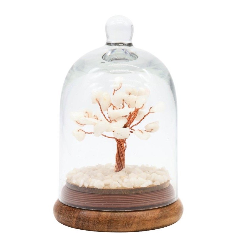 Arbre du Bonheur Jade Blanche sous Cloche en Verre – 13 cm