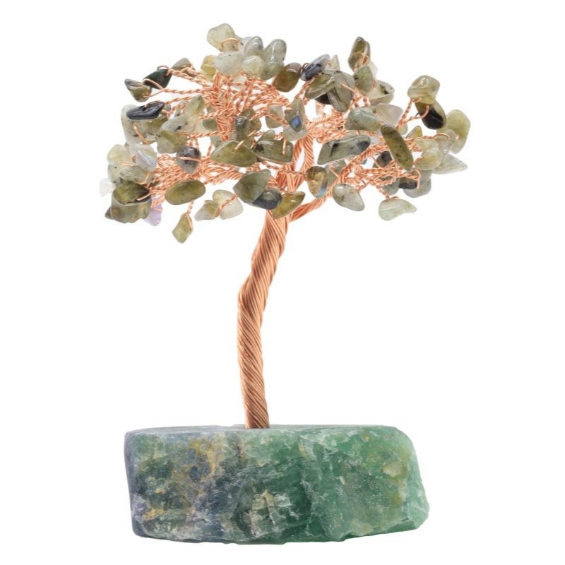 Arbre du Bonheur Labradorite sur Base Fluorite Brute – 14 cm