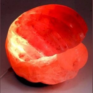 Lampe de Sel Himalaya Coquillage – 2 à 3 kg