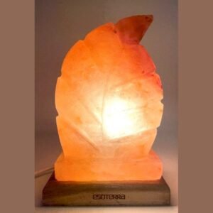 Lampe de Sel Himalaya Feuille Sculptée – 3 à 3,5 kg, environ 22 cm