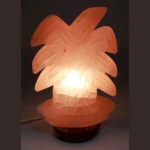 Lampe de Sel Himalaya Palmier – 3 à 4 kg