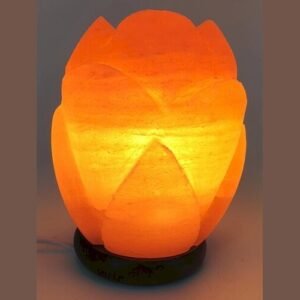 Lampe de Sel Himalaya Tulipe – 2 à 3 kg, 20 cm