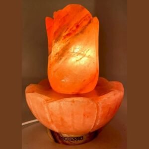 Lampe de Sel Lotus – environ 5,5 kg