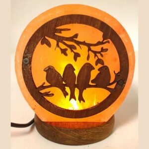 Lampe de Sel USB Oiseaux – 500 g à 1 kg, 12 cm